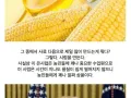 트럼프가 코카콜라 레시피를 건드려 난리난 미국 썸네일